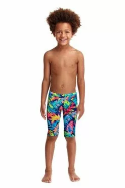 Funky Trunks Toddler Boys Palm Off Eco Miniman Jammer